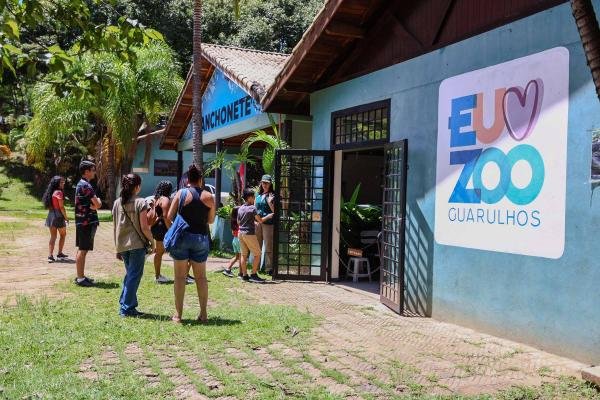 Visitantes do zoológico aprendem a montar brinquedos para gatinhos domésticos